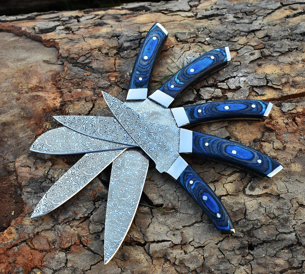 Five piece kitchen knife set arranged in a fan with blue wood handles outward