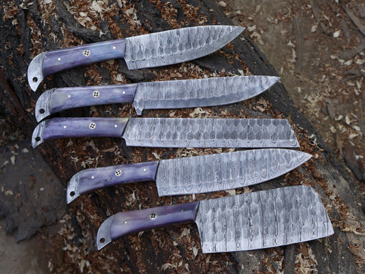5 piecees handmade Damascus chef knife set with natural bone handles and leather sheaths