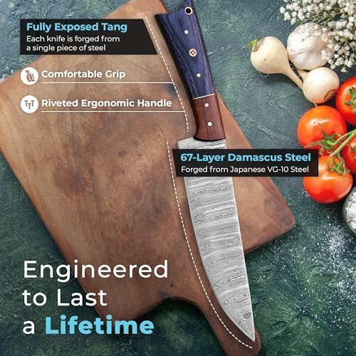 Infographic showing full tang construction and 67 layer Damascus steel