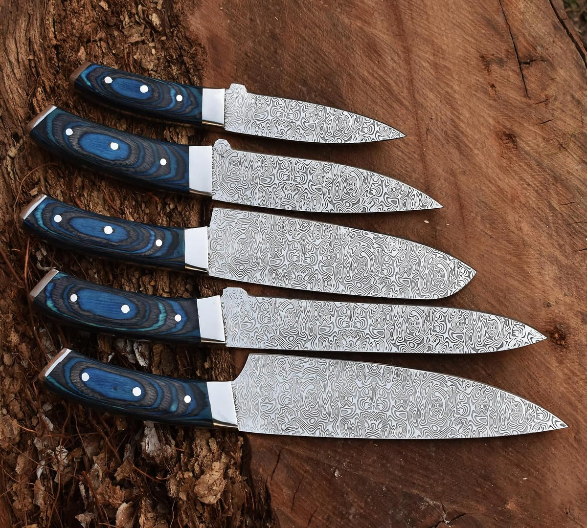 Five kitchen knives in a row with blue laminated handles and steel bolsters