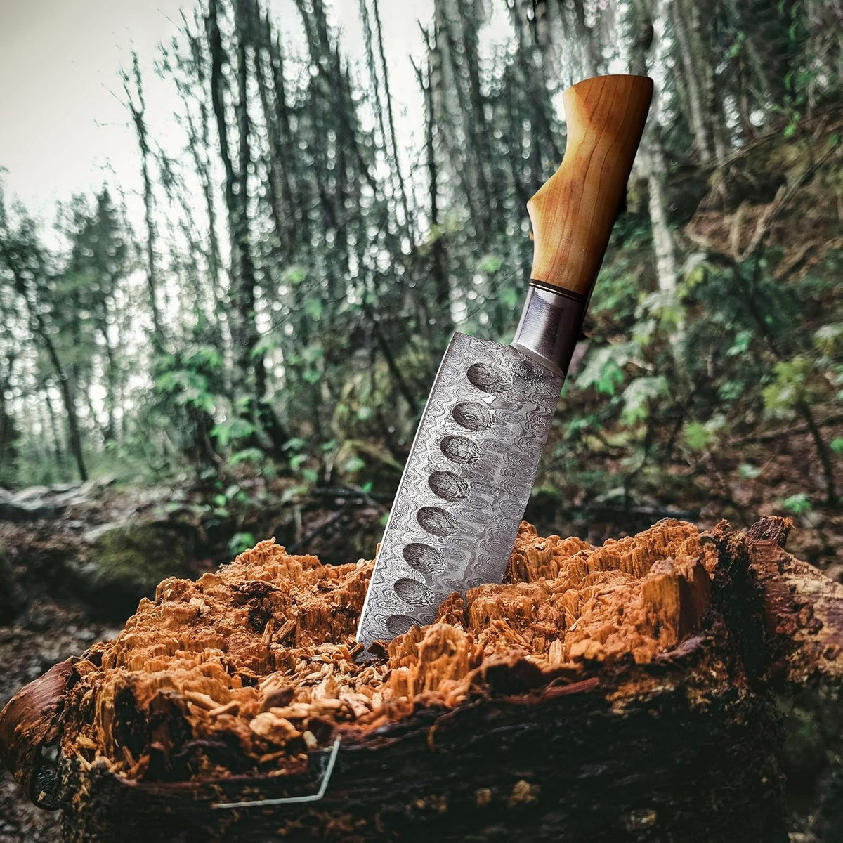 Damascus steel knife with pakka wood handle and dot pattern blade planted upright in a forest tree stump