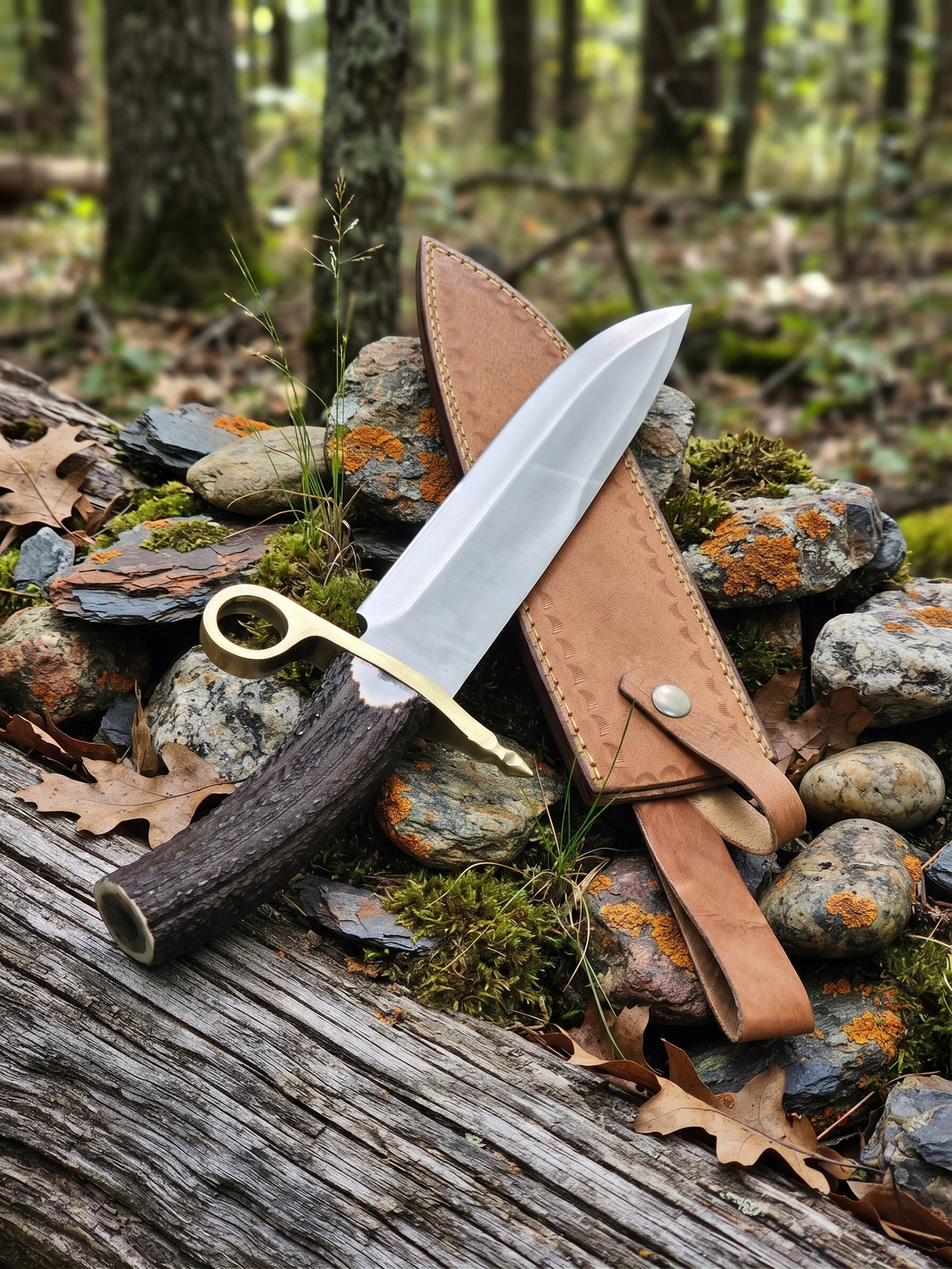 Crown antler Bowie knife showing full stainless steel blade and antler handle