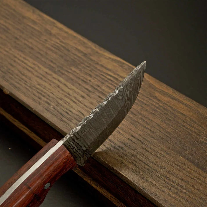 Compact Damascus skinner knife showing curved cutting edge