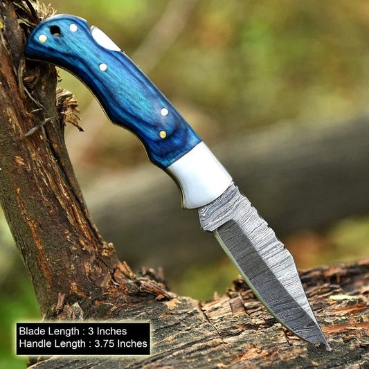 Handmade Damascus Steel Folding Pocket Knife | Blue Dollar Sheet Handle with Leather Sheath